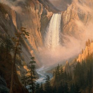 Yellowstone Falls