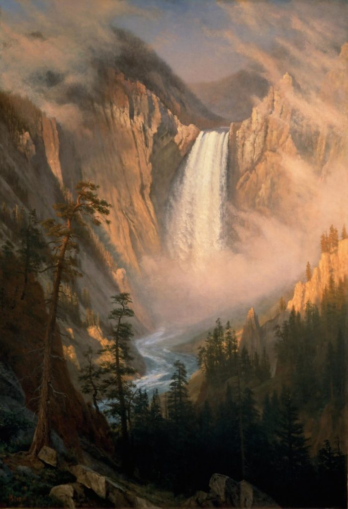 Yellowstone Falls