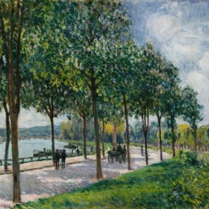 Allée of Chestnut Trees