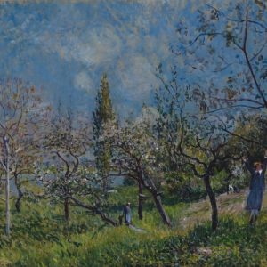 Orchard in Spring