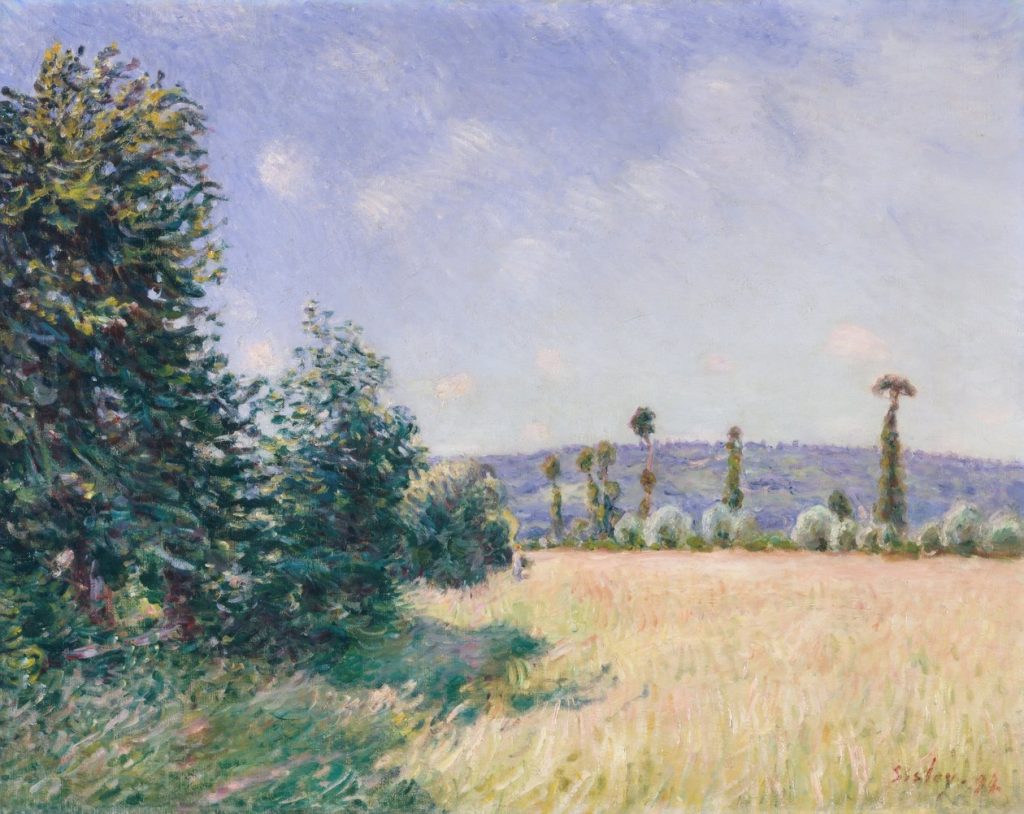 Sahurs Meadows in Morning Sun