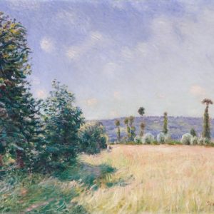 Sahurs Meadows in Morning Sun