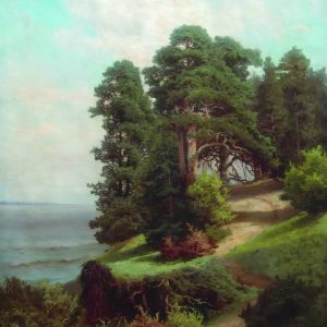 Steep Bank with Pine Trees