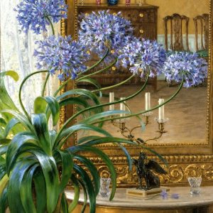 Agapanthus Before a Mirror