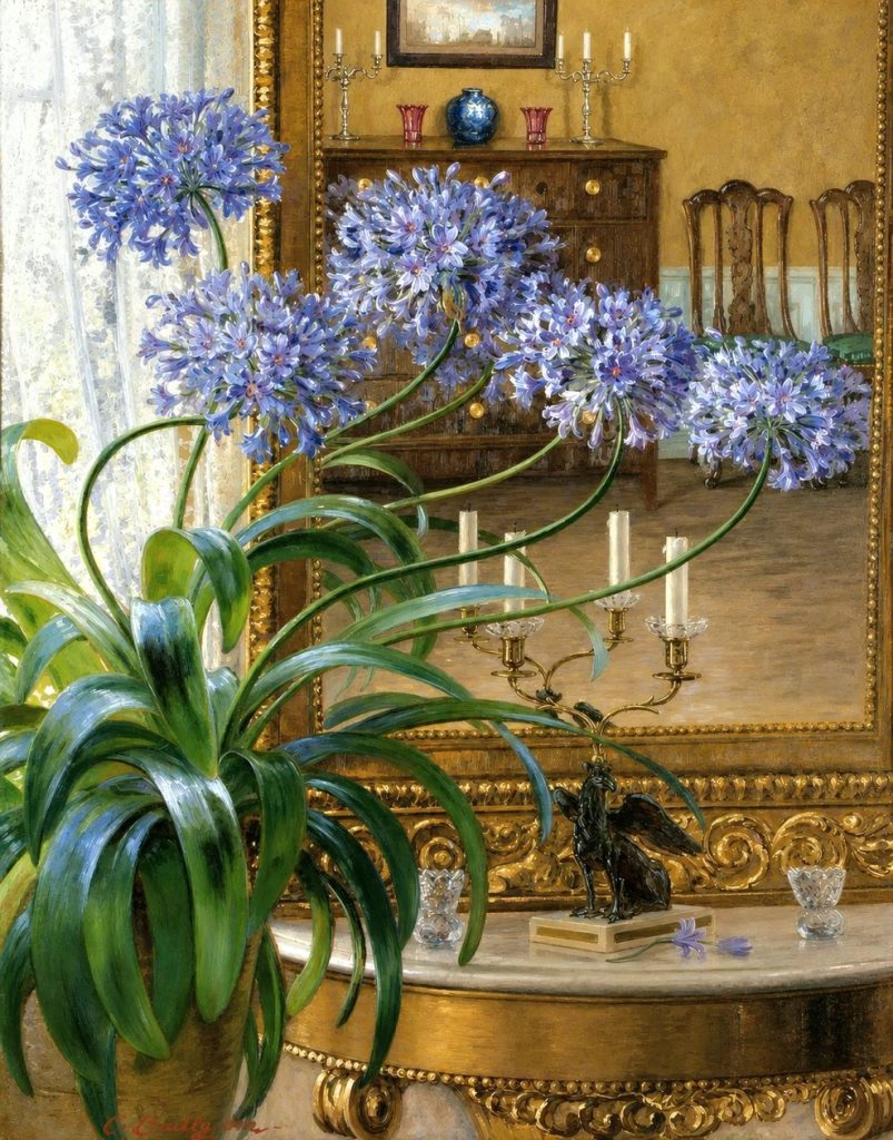 Agapanthus Before a Mirror