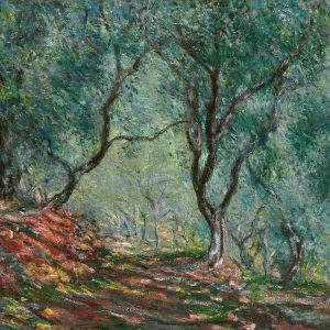 Olive Trees in the Moreno Garden
