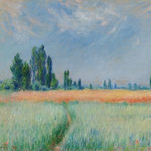 Wheatfield