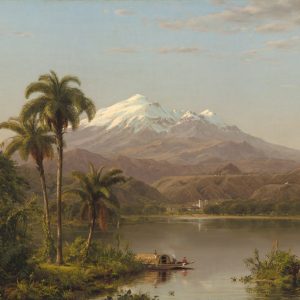 Tamaca Palms