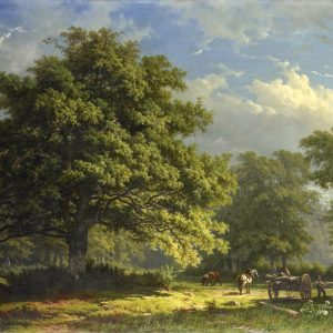 View in the Bentheim Forest