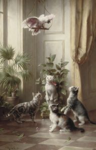 Cats and the Cockatoo