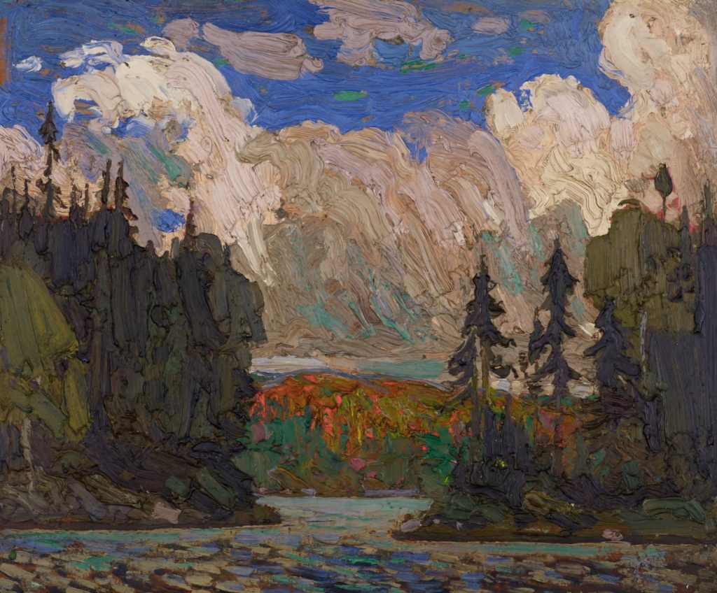 Black Spruce in Autumn