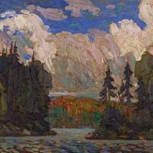 Black Spruce in Autumn