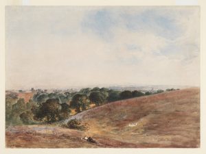 Hill Landscape