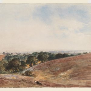 Hill Landscape