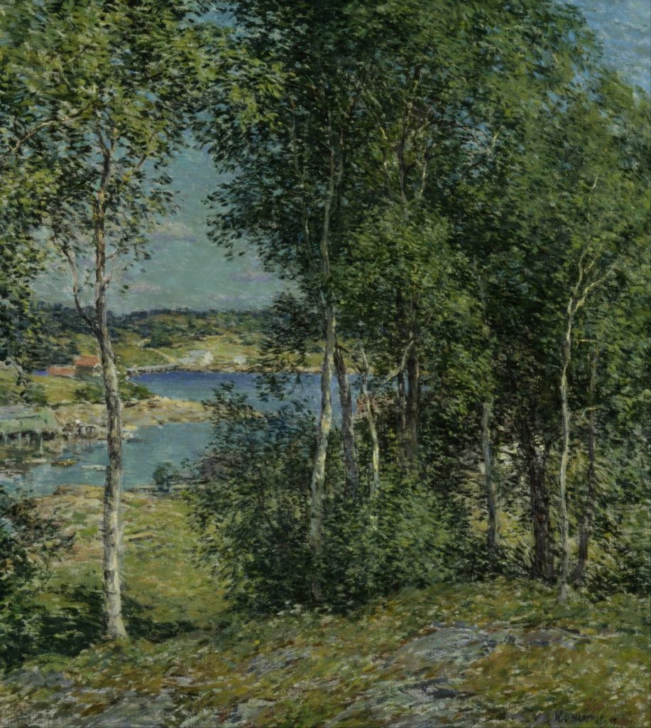 A Family of Birches