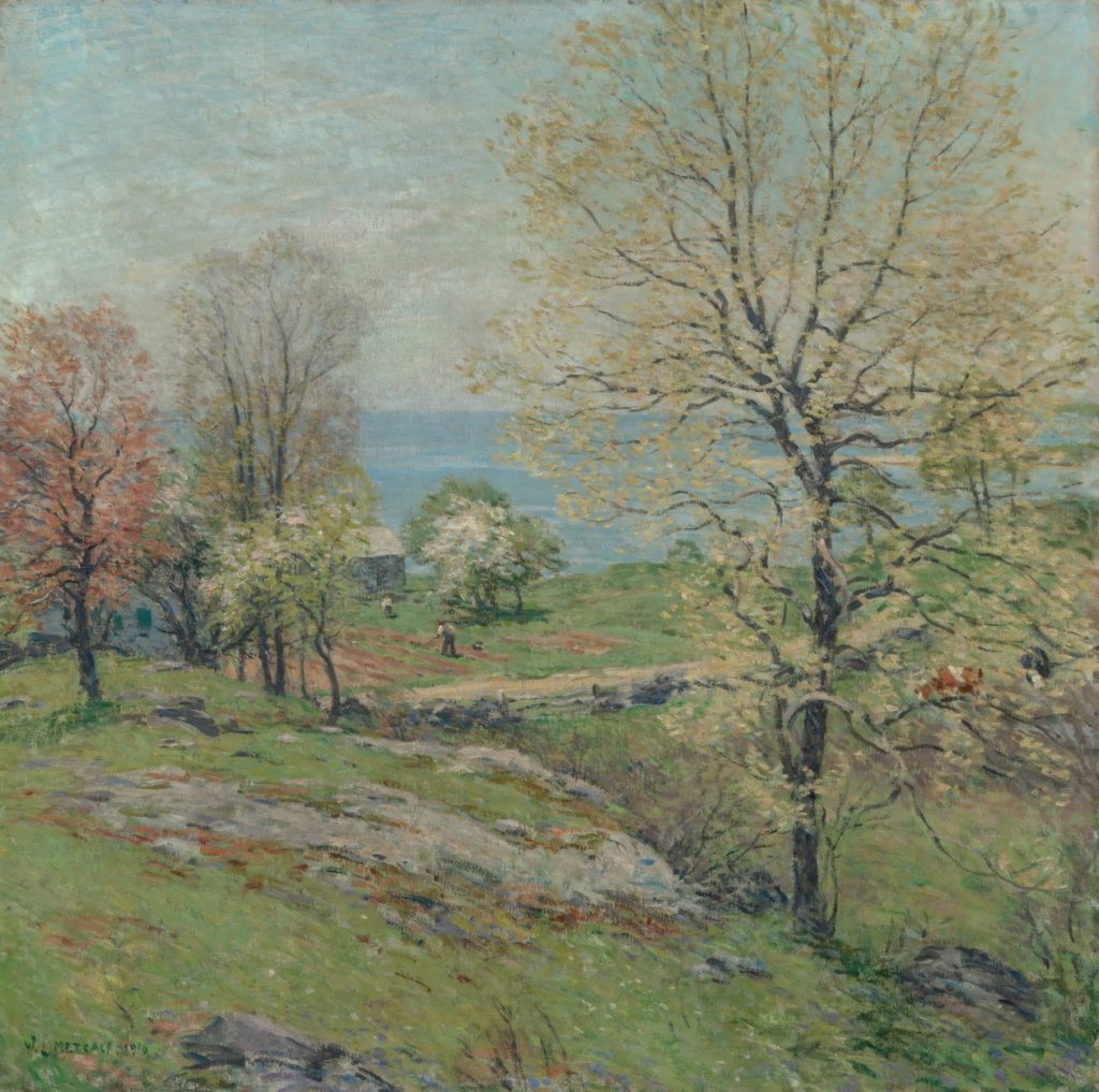 The Budding Oak
