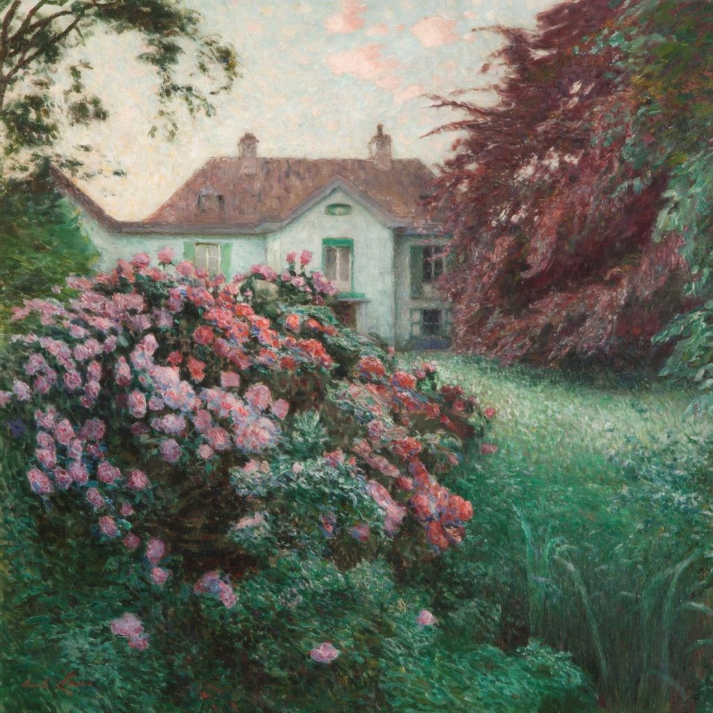 Villa Sunshine, Rhododendrons
